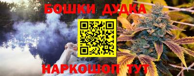 стаф Заводоуковск