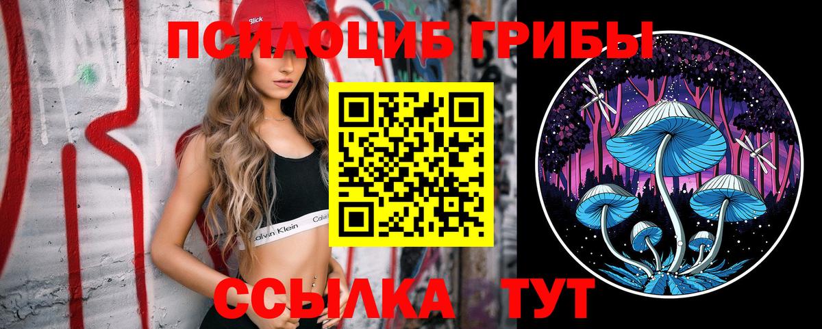 Псилоцибиновые грибы Psilocybe Великий Новгород