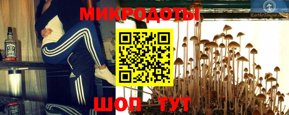 сколько стоит  Вход с VPN  Великий Новгород  Псилоцибиновые грибы прущие грибы 